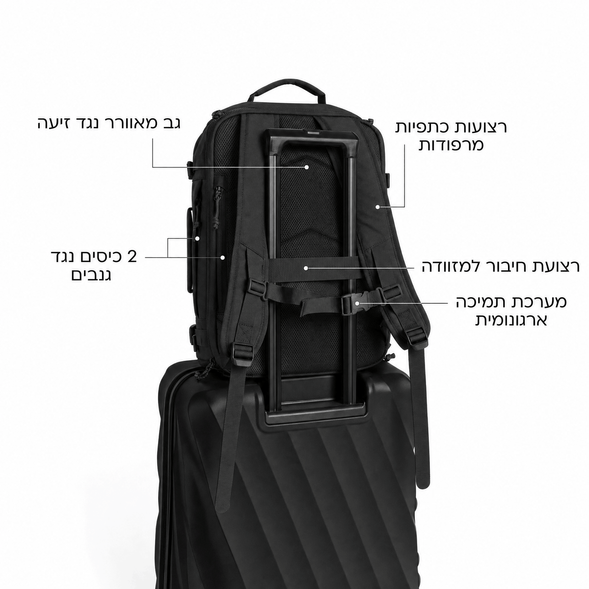 תיק הנסיעות של VERRA